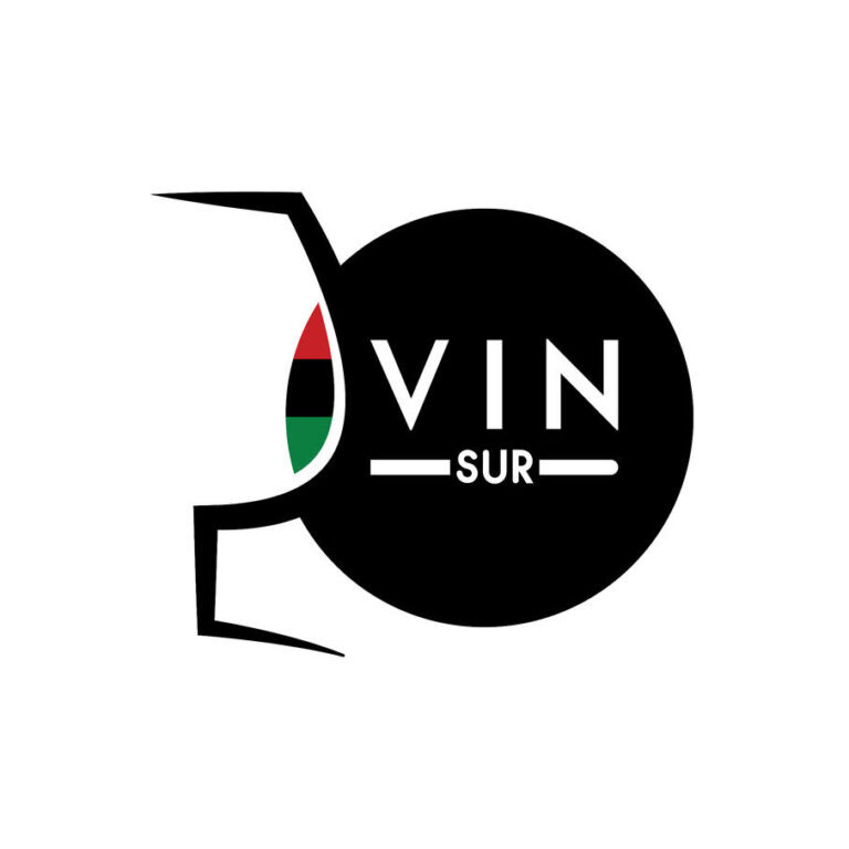 logo_vin_sur_20